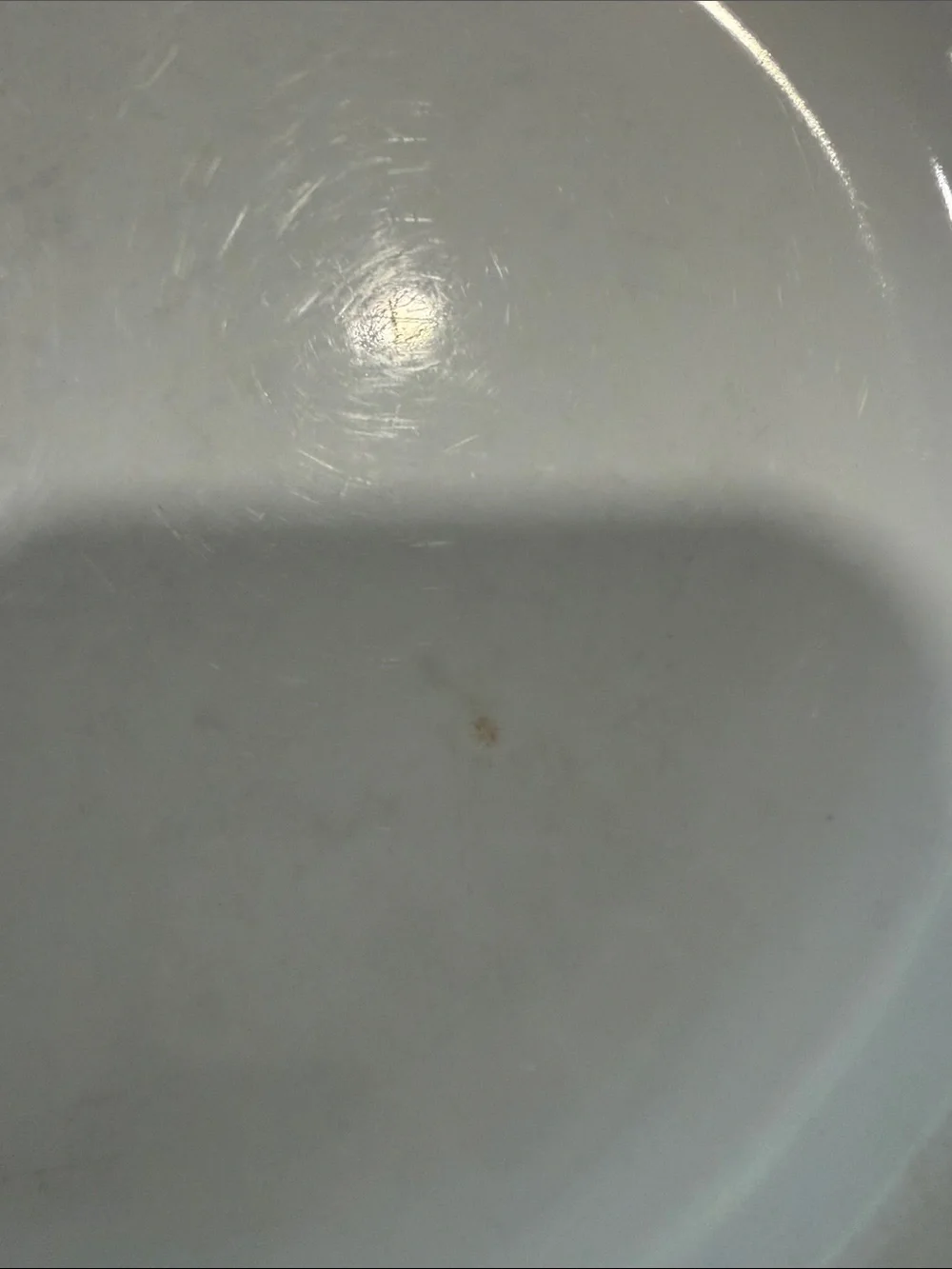 Pottery Barn 2 Great White deep plate